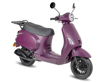 Ricambi Berini Napoli viola opaco