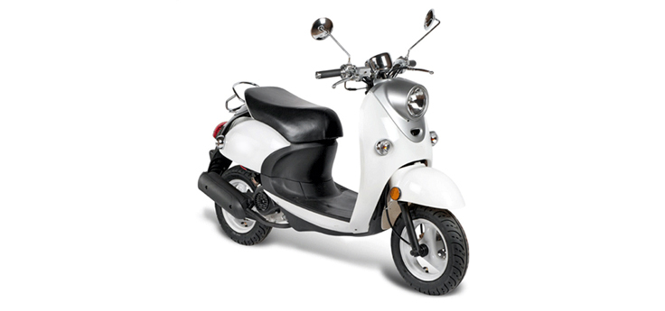 Ricambi China Tulp bianco