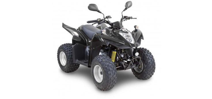Kymco Maxxer 90