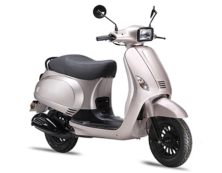 Ricambi AGM VX50-S champagne