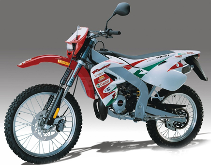 Ricambi Rieju MRX castrol 2001 2 tempi