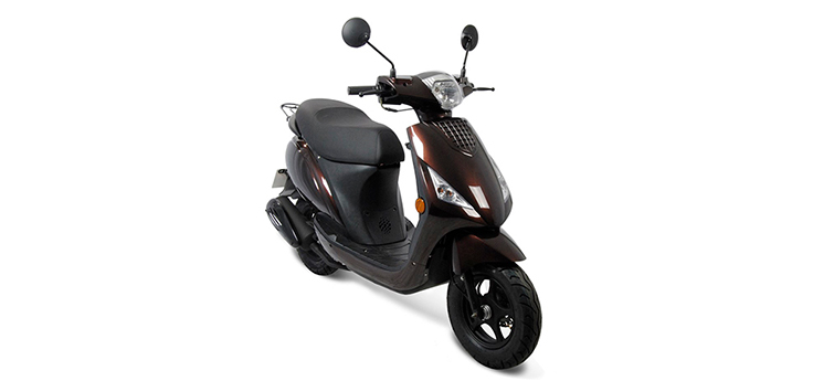Ricambi Riya City marrone