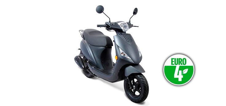 Ricambi Riya City Euro4 antracite opaco