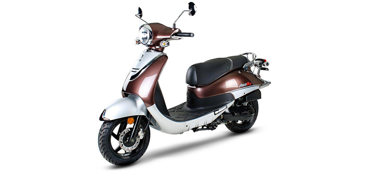 Sym Allo GT (LX17348 S882U) marrone argento