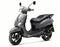 Sym Fiddle II Euro4 Rich grey (GY-430C)