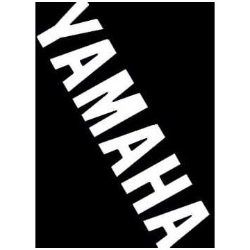 Adesivo [Yamaha] Aerox/MBK Nitro bianco Falko 980587.whi 2 pezzi