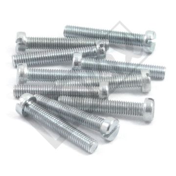 VITE IN METALLO M5x30 ELVZ 10pz