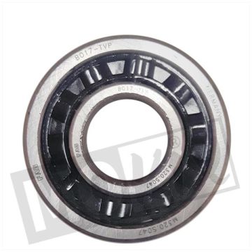 CUSCINETTO B017 17-44-11 PVC CAGE (1)