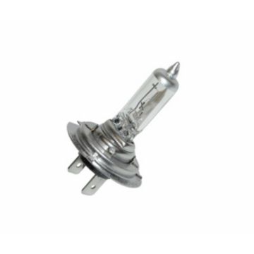 Lampadina PX26d H7 12V 55W +50%