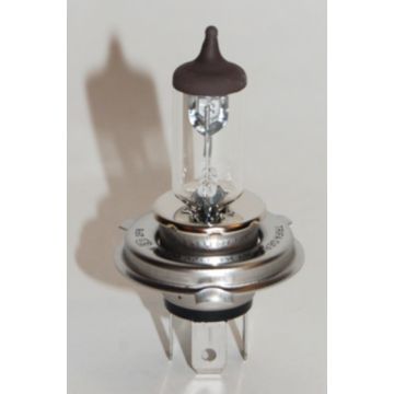 Lampadina P43t H4 12V 60/55W Trifa-121956