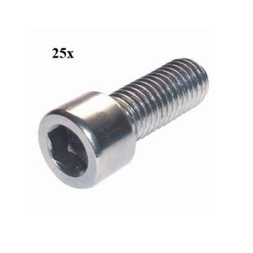 Vite a brugola m6x12mm 25 pezzi