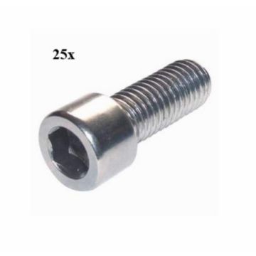Vite a brugola m6x20mm 25 pezzi-135363