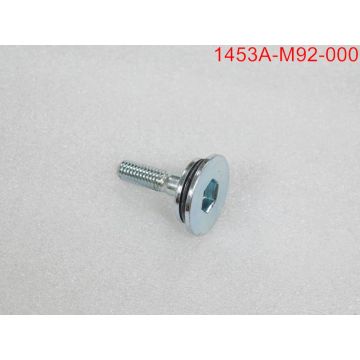 Tendicatena come originale Sym