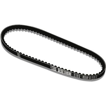 Cinghia trapezoidale Peugeot Buxy/Speedfight/Vivacity/Speedake 2 tempi Malossi 6118940