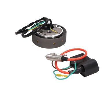 Accensione elettronica modello Bosch completa Kreidler/Zundapp/Sachs (svolta a sinistra) DMP