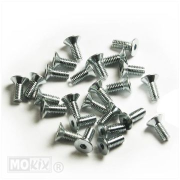 VITE COPERCHIO POMPA FRENO M4x10 (25) -214756b