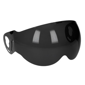 Visiera da tetto Boxxer/Roadster fumo scuro