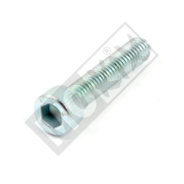 BULLONE A TESTA CILINDRICA BETA MC