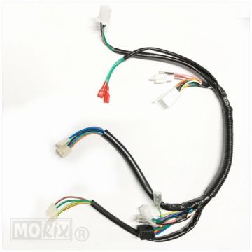 Cablaggio originale DJJD Cashmere 50 EFI euro 4