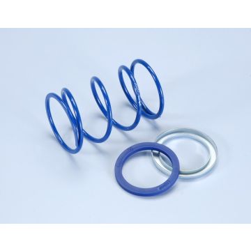 Molla di compressione frizione -Polini Evo-Slider- Piaggio-Vespa/Piaggio 50 2/4-tempi 2V/3V/4V/iGet/100cc 4 tempi - diametro =3/9mm meno 30% 243.090