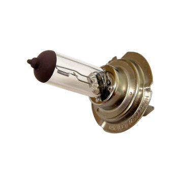 Lampadina PX26d H7 12V 55W-40181