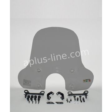 Parabrezza medio fumé BTC CEO/NECO BORGIA/DJJD Avantgarde/E Avantgarde/Bimie Grazie Isotta