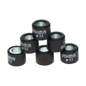 Set rulli variatori 16x13 Polini