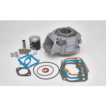 Cilindro Rotax 122 rs125 54mm Italkit Gilardoni