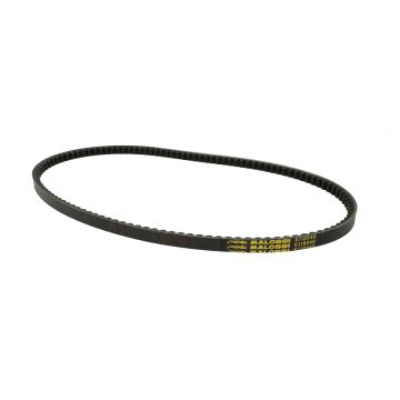 Cinghia trapezoidale Peugeot Buxy/Speedfight/Vivacity/Speedake 2 tempi Malossi 6118940