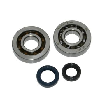 Kit cuscinetti e guarnizioni da corsa Peugeot Speedake/Buxy/Zenith/Speedfight/Vivacity Artek 13787