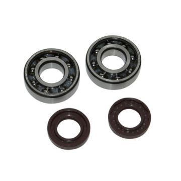 Kit cuscinetti/guarnizioni race Derbi Senda Artek 13792