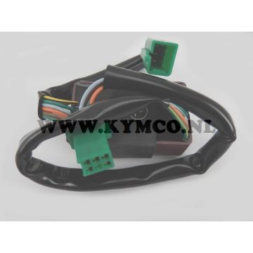 Relè indicatore Kymco Xciting 500i originale