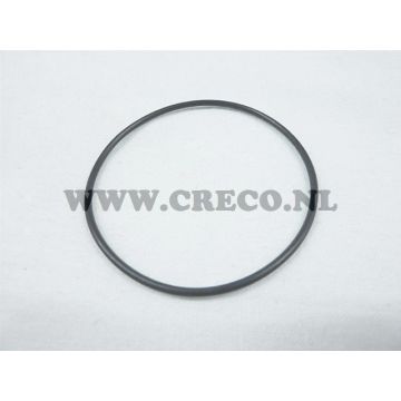 O RING 53.7X1.78 POMPA ACQUA MINARELL-083717