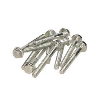 Bulloni a flangia lunghezza M6x50mm (SW10) vuoti 10 pezzi incluso telaio