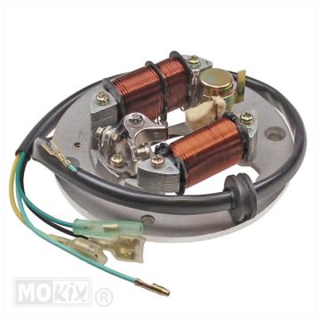 Tappi sciolti di vecchio tipo dello statore Yamaha FS1/DX