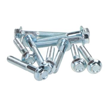 Set di bulloni per flangia/carter M6x40mm lunghezza (SW8) bianco 10 pezzi