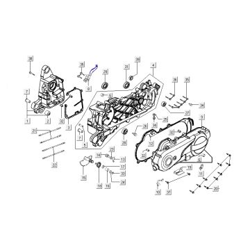 Carter - Coperchio carter - Asse Kickstarter Kymco New Dink 4 tempi blu oceano profondo