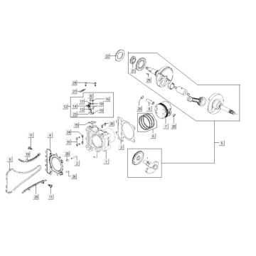Cilindro - Pistone - Albero motore Kymco Xciting 500i 4T LC