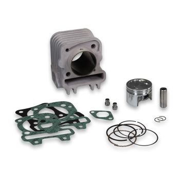 Cilindro Malossi 80cc 49mm Piaggio 50 4 tempi 2V-3V-4V 3117771 ZIP/Sprint/Primavera/LX/LXV/S/ET4/Liberty/Fly/Centro/Ciak/Torpedo/SportCity One/Scarabeo