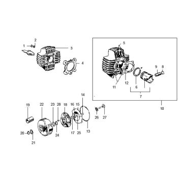 Cilindro - Pistone - Testa cilindrica Puch Maxi