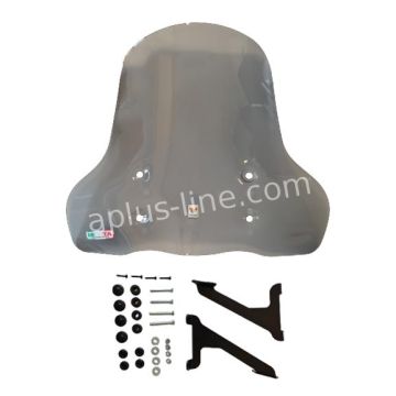 Parabrezza Lifan E3 Isotta high smoke