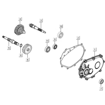 Denti - Trasmissione Kymco New Downtown 125i ABS