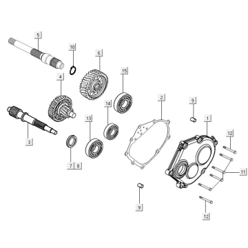Denti - Trasmissione Kymco New Downtown 350i ABS