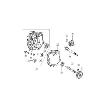 Teething - Cambio Kymco Super9 50 a 2 tempi nuovo modello argento