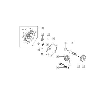 Denti - Trasmissione Kymco Agility RS 4 tempi bianco 09