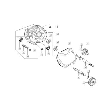 Denti - Trasmissione Kymco Sento 50 4 tempi marrone