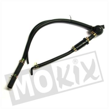 HO ANCHE PATATINE FRITTO CON DEL CIBO