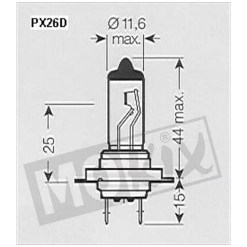 Lampadina PX26d H7 55W