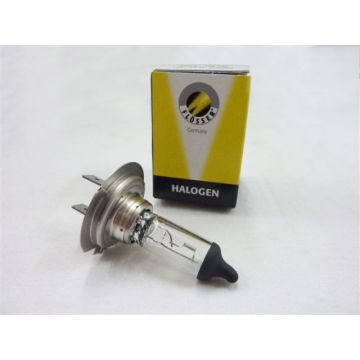 Lampadina PX26d H7 12V 55W-16H1255