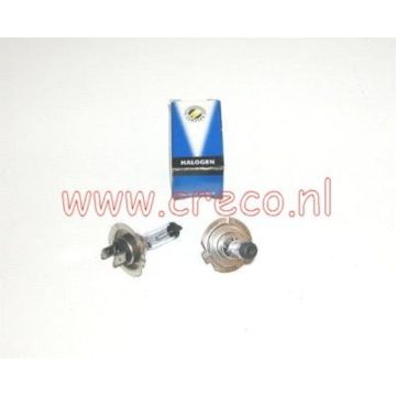 Lampadina H7 PX26d 12V 55W Xenon Look